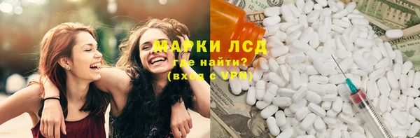 гашик Алексин