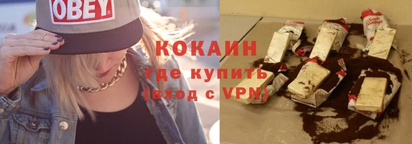 гашик Алексин