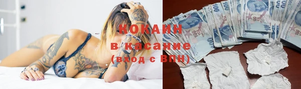 сатива Абаза