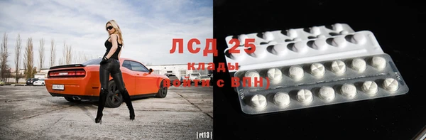 гашик Алексин