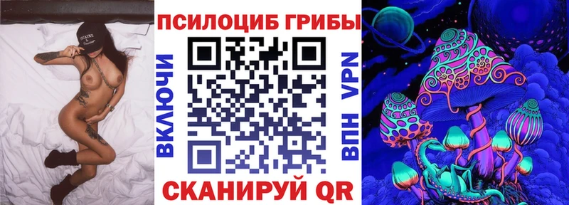 где найти   Калачинск  Псилоцибиновые грибы MAGIC MUSHROOMS 